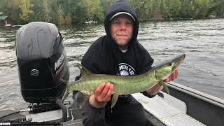 KAWARTHA LAKES FALL MUSKY [upl. by Regdor401]