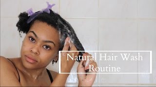 My Natural Hair Wash Day Routine Shampoo [upl. by Elbag]