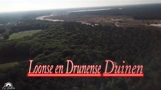 mtb trail Loonse en Drunense duinen [upl. by Llehsim]