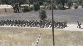 100th BN Bravo amp Charlie Company Marching Cadence in Samoan [upl. by Ecnadnac]