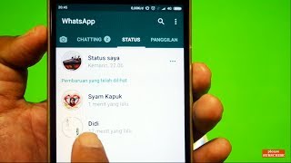 Cara Melihat Status Whatsapp Orang Lain Tanpa Ketahuan Pemiliknya [upl. by Lamarre]