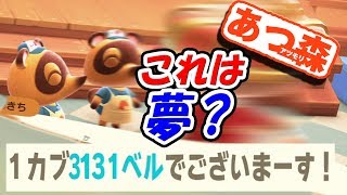 【あつ森】100万ベル分のカブを翌日売るとやべぇえええええwwwwww 【あつまれ動物の森18日目】 [upl. by Ahsai]