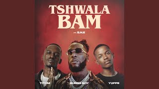 Tshwala Bam feat SNE [upl. by Nohsid364]