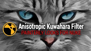 Anisotropic Kuwahara Filter for Painterly Looks in Nuke [upl. by Wandy]