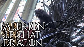 BALERION le chat dragon du Donjon Rouge  Hors Série GAME OF THRONES [upl. by Ailimat]