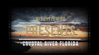 Crystal River Florida [upl. by Rianna]