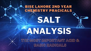 2nd Year Chemistry Practical  Salt Analysis  Acid Radicals  Basic Radicals  Scheme of Salt [upl. by Noak]