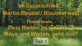 Weden amp MayaKosmologie Ein Gespräch zwischen Engelsburg Martin und Blaubeerwald Martin Teil1 [upl. by Raines742]