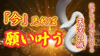 『今見れば』願い叶う！！日本三大山城でもあり実は強力なパワースポット※天空の城【備中松山城】 Castle in the sky【Bitchūmatsuyamajō】 [upl. by Nirual691]