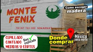 DONDE COMPRAR MADERA en México Zona Norte  Monte Fénix [upl. by Clayborne]