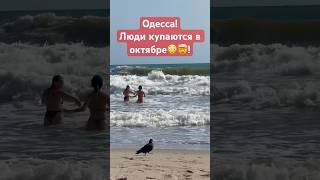 ОДЕССА❗️ЛЮДИ КУПАЮТСЯ В ОКТЯБРЕ 😳🤯❗️SHORTS SHORTVIDEO SHORT ODESSA ОДЕССА МОРЕ [upl. by Klute]