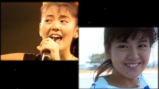 南野陽子「カリブへ行きたい」Live 88  MV [upl. by Eelinej]