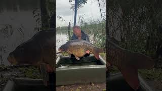 Wetter könnte gerade besser sein aber sei’s drum😄🎣 karpfenangeln carpfishing karpervissen [upl. by Rochus]