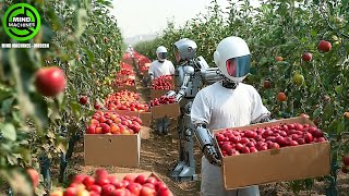 The Most Modern Agriculture Machines That Are At Another LevelHow To Harvest Pomegranate In Farm [upl. by Whelan]