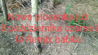 trailer czarne i f4 Remix babka [upl. by Noyk]