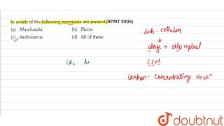 In which of the following pyrenoids are present [upl. by Arri]