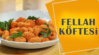 Adananın Meşhur Lezzeti Fellah Köftesi Tarifi [upl. by Rebmyt]