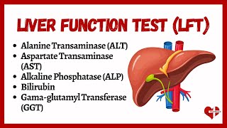 Liver Function Tests LFTs  liver function test interpretation  Animation  MultiLanguages [upl. by Atal120]