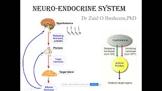 Introduction to neuroendocrine system [upl. by Balduin]