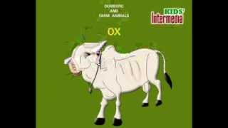 kids Animation Domastic and farm animals and sound syudy for animals name kids [upl. by Dollie]