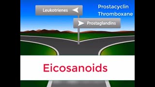 Eicosanoids in 2 minutes Prostaglandins Prostacyclin Thromboxane and Leukotrienes [upl. by Seyler]