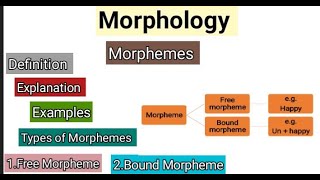 Morphology  Morphemes and its types  Free and Bound Morphemes  Morphemes in English  Linguistics [upl. by Hcirteid]