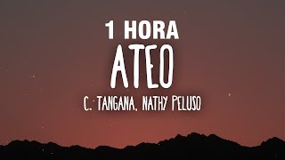 1 HORA C Tangana Nathy Peluso  Ateo LetraLyrics [upl. by Dhruv]