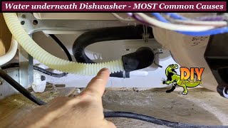 Water leaking under Dishwasher  Most common causes [upl. by Nelie861]