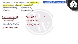 Members of which phylum are triploblastic coelomate and bilaterally symmetrical [upl. by Enileoj]