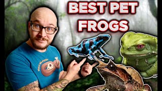 Top 5 Pet Frogs Youve Never Heard Of [upl. by Hafeetal]