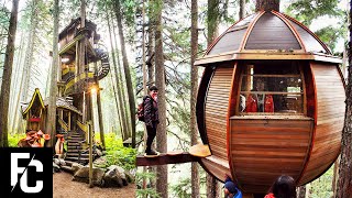 6 INSANE Treehouses You wont Believe Exist  HOUSES BUILT IN TREES  FACT CENTRAL [upl. by Aerdma380]