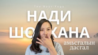 Нади Шодхана Amisgaliin dasgal  Nadi Shodhana Pranayama  Breathwork [upl. by Ashwell]