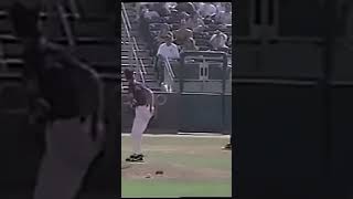 Randy Johnson Hits Bird crazy shorts baseball [upl. by Sices]