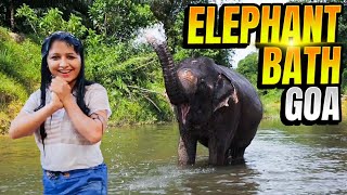 Elephant Shower and Ride  Sahakari Spice Farm Ponda Goa  Adventure [upl. by Reynard]