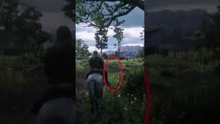 sadie adler se materializa delante de nosotros RED DEAD REDEMPTION 2 shots [upl. by Cleveland]