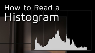 How To Read a Camera Histogram [upl. by Tserrof]