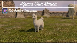 Final Fantasy XIV  Alpaca Cria Minion [upl. by Eerb]