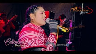 CELINDA ALMANACIN EN CHALLHUAHUACHO  CCASA 2018 Concierto en Vivo [upl. by Tormoria]