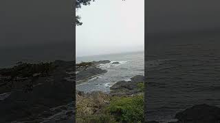 ucluelet nature wonder 🤔 of Canada ❤️ BC Victoria ❤️ tour subscribe share deep ocean Beach Walk [upl. by Okihcas647]