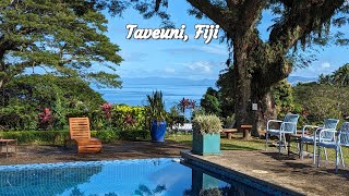 Taveuni Fiji  Taveuni Dive Resort [upl. by Livvie249]