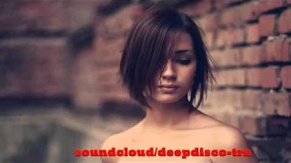 ⒽThe Best Of Vocal Deep House Nu Disco 2013 2 Hour Mixed By Zeni N [upl. by Adnilrem]