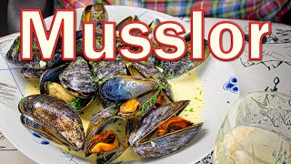 Musslor i vitt vin  moules marinières [upl. by Miru]