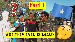 Answer These Questions if Youre Somali part 1 Somali Challenge [upl. by Bald901]