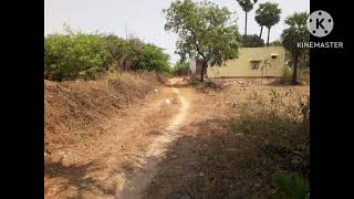 8 ACRES AGRICULTURE LAND SALES NEAR IN CHENNAI PONNERI MINJUR  PALAVERKADU ELAVUR MADURAI [upl. by Loeb551]