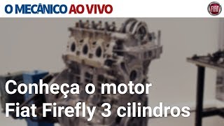 O MECÂNICO AO VIVO Conheça o motor Fiat Firefly 3 cilindros [upl. by Carper]