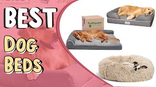 Dog Bed Top 5 Best Dog Beds  Luxury Dog Beds  Best Budget Dog Bed Review [upl. by Nwahsirhc]