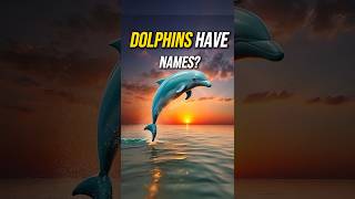 The Secret Language of Dolphins How They Communicate and Name Each Other [upl. by Luamaj812]