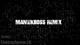 Elektrochemie LK  Schall ManiekBoss REMIX [upl. by Boles]