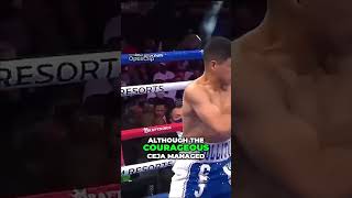 Epic Knockout Mark Magsayo vs Julio Ceja Boxing Match Highlights [upl. by Etram925]