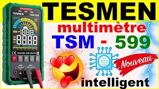 Multimètre tesmen tsm 599 voltmètre ampéremètre électronique  electronic smart digital multimeter [upl. by Shepperd]